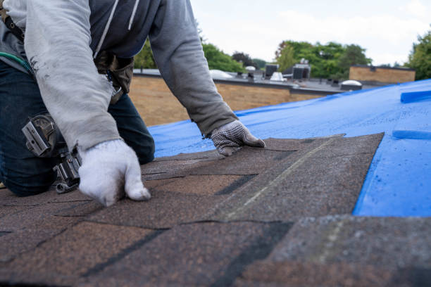 Best Roof Gutter Cleaning  in Tarboro, NC